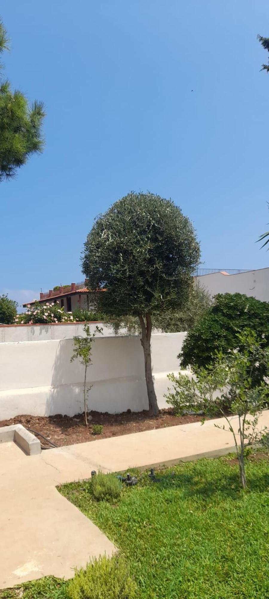 Villa Francesca Carini